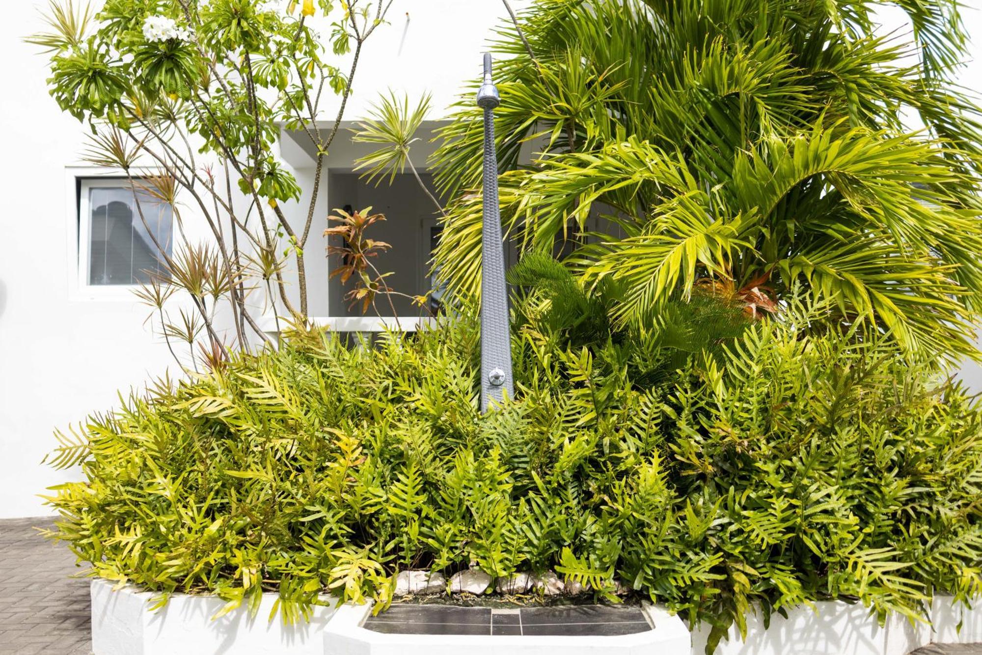 شقة Palm Crest Jan Thiel المظهر الخارجي الصورة